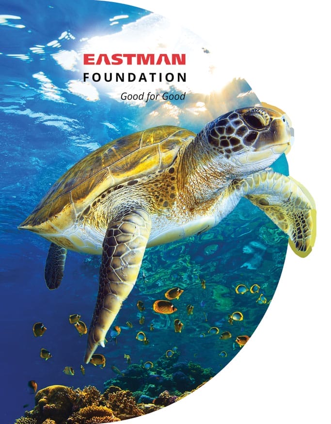 Eastman Foundation Brochure