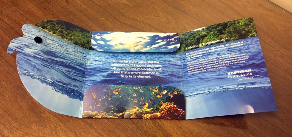 eastman turtle brochure folded inside
